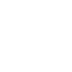 Family Photography, Whitney Bray Logo